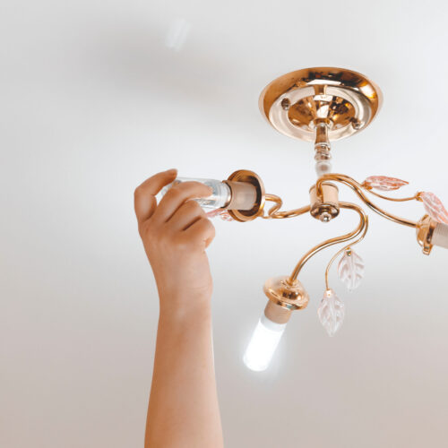 Female,Hand,Inserts,A,Light,Bulb,Into,The,Threaded,Socket.